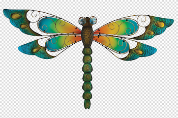 Dragonfly PNG Image