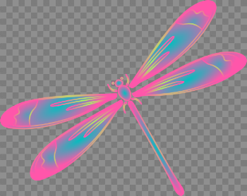 Dragonfly PNG Image Transparent Background