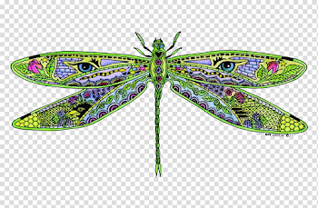 Dragonfly PNG Pic