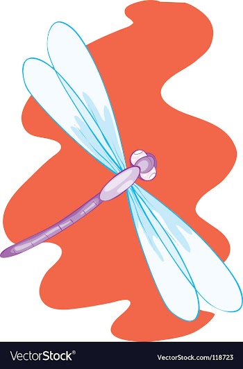 Dragonfly vector image