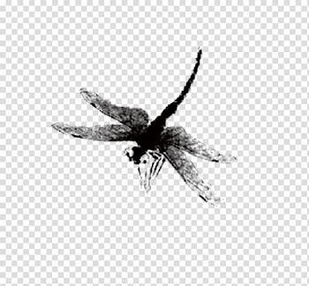 Dragonfly Watercolor painting, Dragonfly Ink transparent background PNG clipart