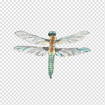 Dragonfly Watercolor painting Drawing, dragonfly transparent background PNG clipart