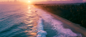 Dramatic Aerial View of a Tropical Beach at Sunset