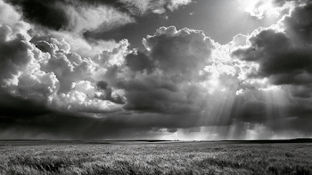 Dramatic Stormy Sky Over Wheat Field