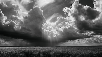 Dramatic Stormy Sky Over Wheat Field
