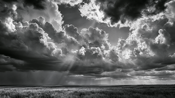 Dramatic Stormy Sky Over Wheat Field