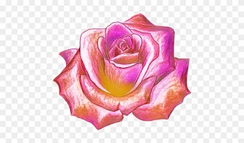 Draw A Rose
