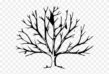 Draw A Tree Without Leaves