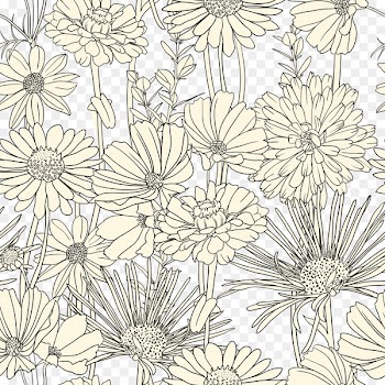 Draw Flowers Drawing Pattern - Flowers, black and white line art background - vector material 