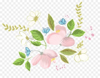 Drawing, Animation, Cartoon, Pink, Flower PNG