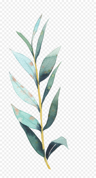Drawing Art Stock illustration Illustration - plant 
