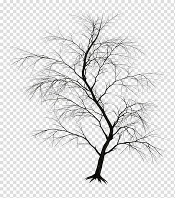 Drawing Art , watercolor tree transparent background PNG clipart