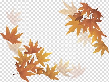 Drawing Autumn, cartoon mid autumn decoration transparent background PNG clipart