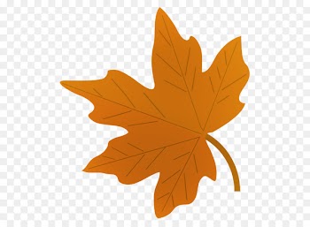 Drawing Autumn leaf color Maple leaf Clip art - leaf 
