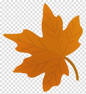 Drawing Autumn leaf color Maple leaf , leaf transparent background PNG clipart