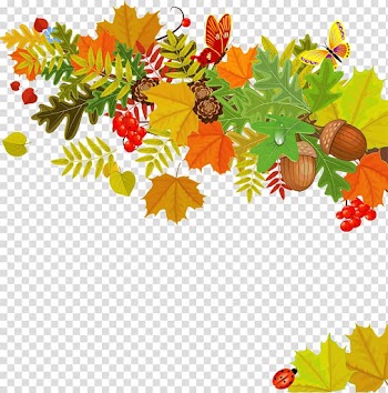 Drawing , autumn leaves transparent background PNG clipart