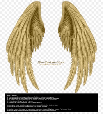 Drawing Bird Butterfly Angel wing - wing,Angel wings,Real 