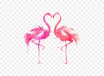 Drawing Bird Ink Illustration - Ink flamingos 