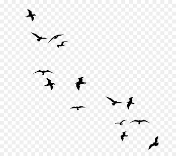 Drawing birds Flock Clip art - Bird 