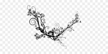 Drawing Black And White Flower Floral Design - Flourish Rose