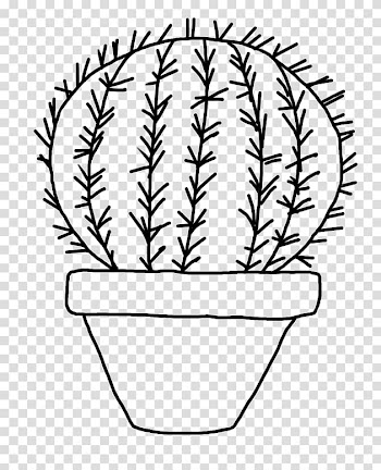 Drawing Cactaceae Color , line transparent background PNG clipart