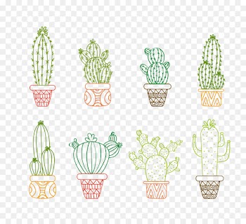Drawing Cactaceae Succulent plant Illustration - Vector cactus 