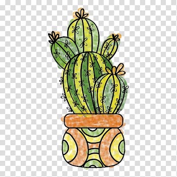 Drawing Cactaceae Succulent plant Watercolor painting, cactus transparent background PNG clipart