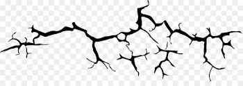 Drawing, Cartoon, Animated Cartoon, Line Art, Branch PNG