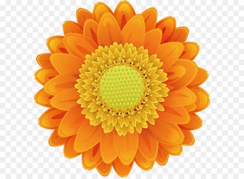 Drawing Cartoon - Cartoon sunflower vector 