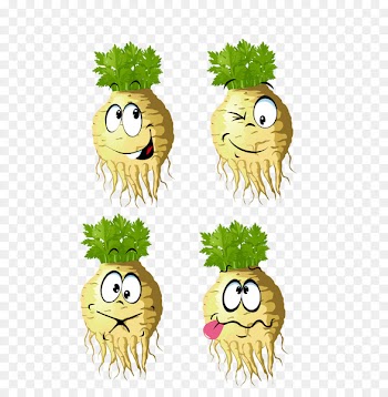 Drawing Cartoon Illustration animation Image - cartoon radish 