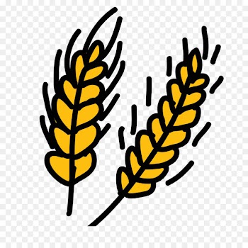 Drawing Clip art Cartoon Image Wheat - wheat 