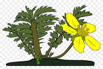 Drawing Clip Art - Drawing Clip Art