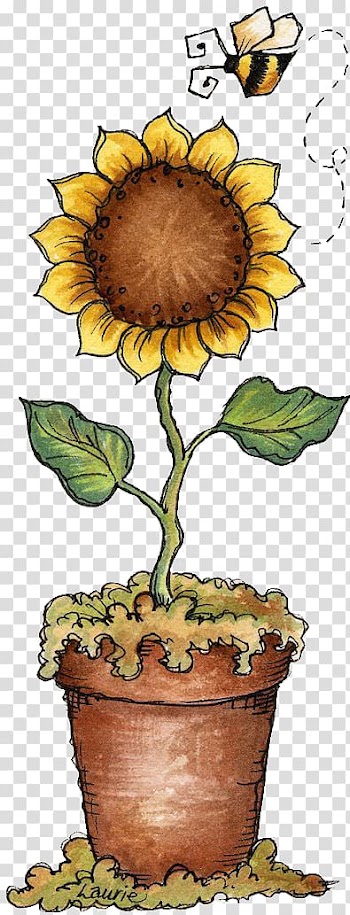 Drawing Decoupage Painting , sunflower transparent background PNG clipart