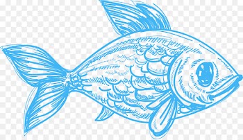 Drawing Deep sea creature Pencil Sketch - fish 