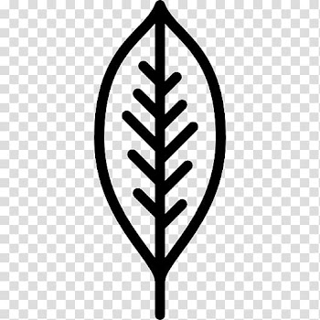Drawing Featherstitch , Autumn Tags，handdrawn transparent background PNG clipart