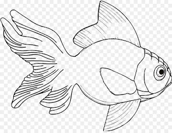 Drawing Fish Coloring book Clip art - ikan koi 