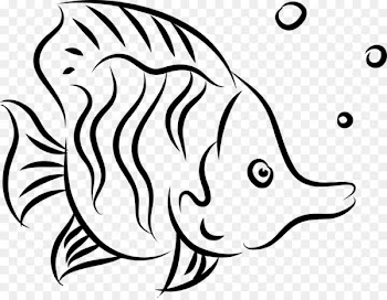 Drawing Fish - Fish line 