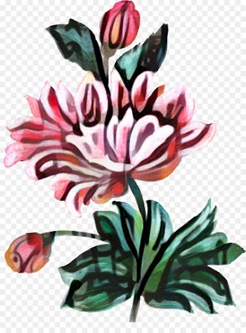 Drawing, Floral Design, Painting, Flower, Flowering Plant PNG