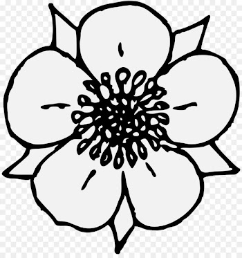 Drawing, Flower, Art, White, Blackandwhite PNG