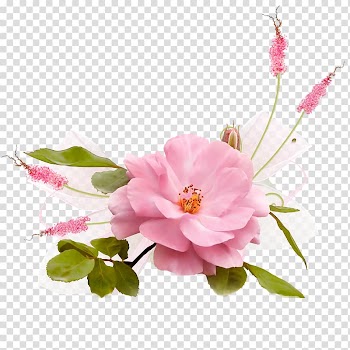 Drawing Flower Garden roses Decoupage, flower transparent background PNG clipart