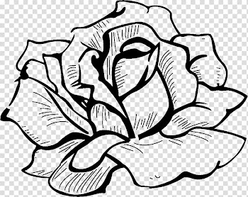 Drawing Flower Icon, flower transparent background PNG clipart