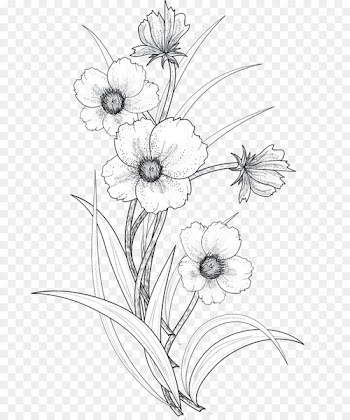 Drawing Flower Line art - Line drawing flowers 