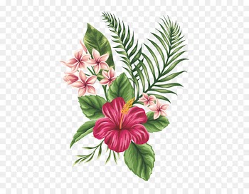 Drawing Flower Sketch - Hand-painted flowers 