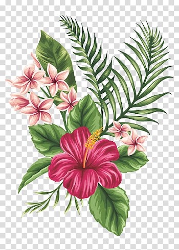 Drawing Flower Sketch, Hand-painted flowers, red hibiscus flower painting transparent background PNG clipart