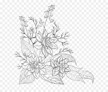 Drawing, Flower, Stock Photography, White, Line Art PNG