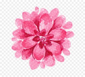 Drawing Flower Watercolor painting Illustration - Drawing Indian national wind album 