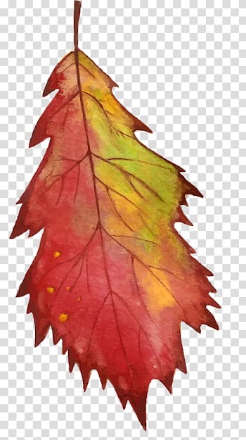 Drawing graphics Watercolor painting , autumn leaves wreath transparent background PNG clipart