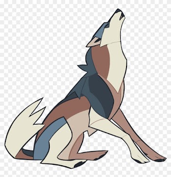 Drawing Gray Wolf Animal Illustration - Drawing Gray Wolf Animal Illustration