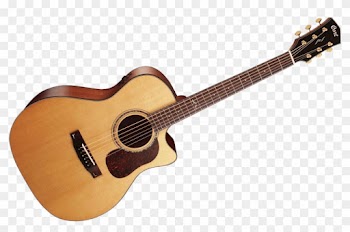 Drawing Guitar Acoustic - Cort Gold O6 Orchestra Natural