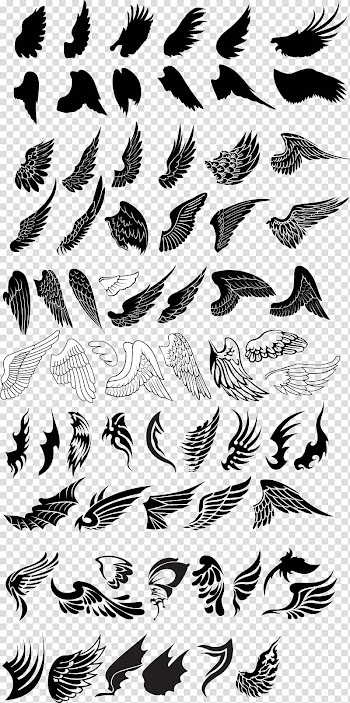 Drawing, heart wing transparent background PNG clipart